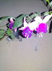 IMG_20140824_205328