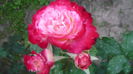 034
