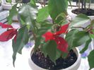 Pic_0824_401