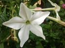 IMG_20140722_081606