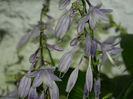 DSCN7382