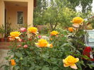 DSCF0189
