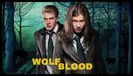 Wolfblood (2012)