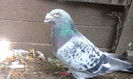 IMG_20140825_112521