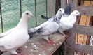 IMG_20140825_103631