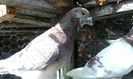 IMG_20140825_102300