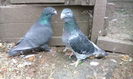 IMG_20140825_102213