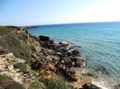 AMMES BEACH (20)