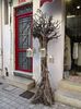 ARGOSTOLI TOWN (28)