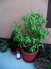 IMG_20140825_195159