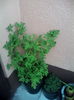 IMG_20140825_195219
