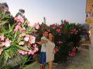 ARGOSTOLI TOWN (52)