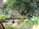 ASSOS TOWN & BEACH (10)