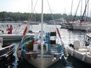 FISCARDO (43)