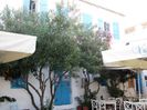 FISCARDO (48)