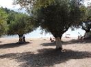 FISCARDO - FOKI BEACH (4)