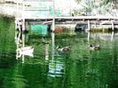 KARAVOMILOS LAKE (12)