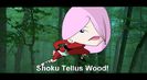 Shoku Tellus Wood!