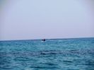 SKALA BEACH (44)