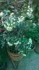 WP_20140825_17_21_35_Pro