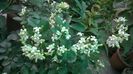 WP_20140825_17_21_53_Pro