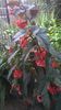 WP_20140825_17_22_56_Pro