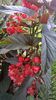 WP_20140825_17_22_40_Pro