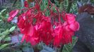 WP_20140825_17_22_30_Pro