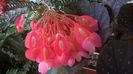 WP_20140825_17_22_46_Pro