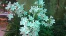 WP_20140825_17_23_15_Pro