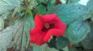 WP_20140826_14_13_07_Pro