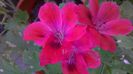 WP_20140826_14_16_19_Pro