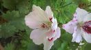 WP_20140826_14_16_25_Pro