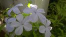 WP_20140826_14_16_33_Pro