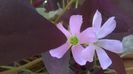 WP_20140826_14_17_00_Pro