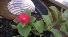 WP_20140826_14_17_13_Pro