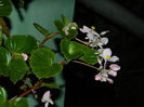 DSCN7541