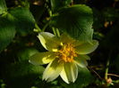 DSCN7551