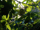 DSCN7582