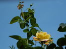 DSCN7628
