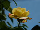 DSCN7629