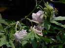 DSCN7637
