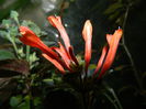 DSCN7704