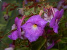 DSCN7708
