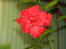 DSCN0359