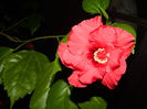 DSCN7062