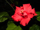 DSCN7072