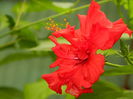 DSCN7147