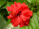 DSCN7703