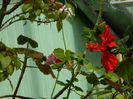 DSCN7757